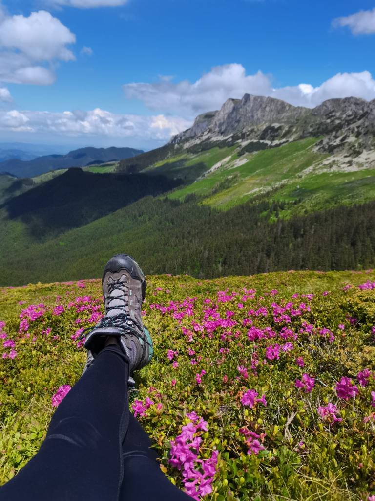 summer bucket list 2022