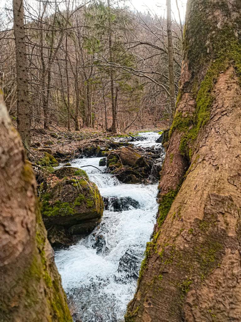 Cascada Urlatoarea, Urlatoarea waterfall views
