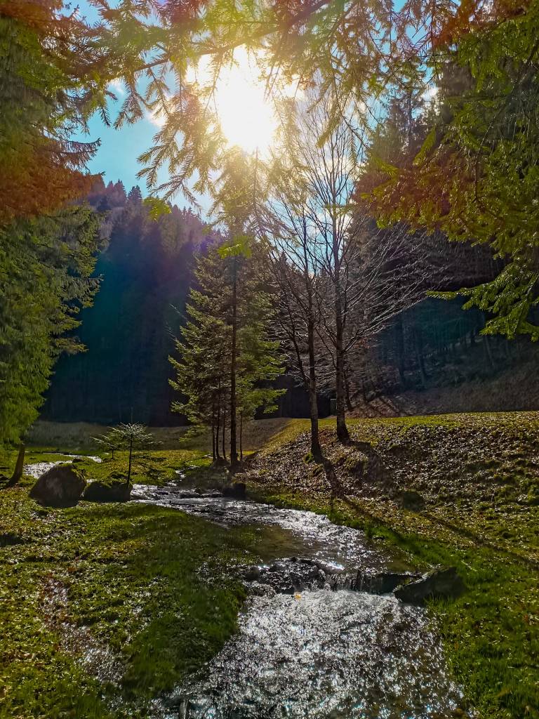 Cascada Urlatoarea, Urlatoarea waterfall views